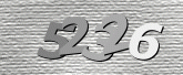 Картинка защиты